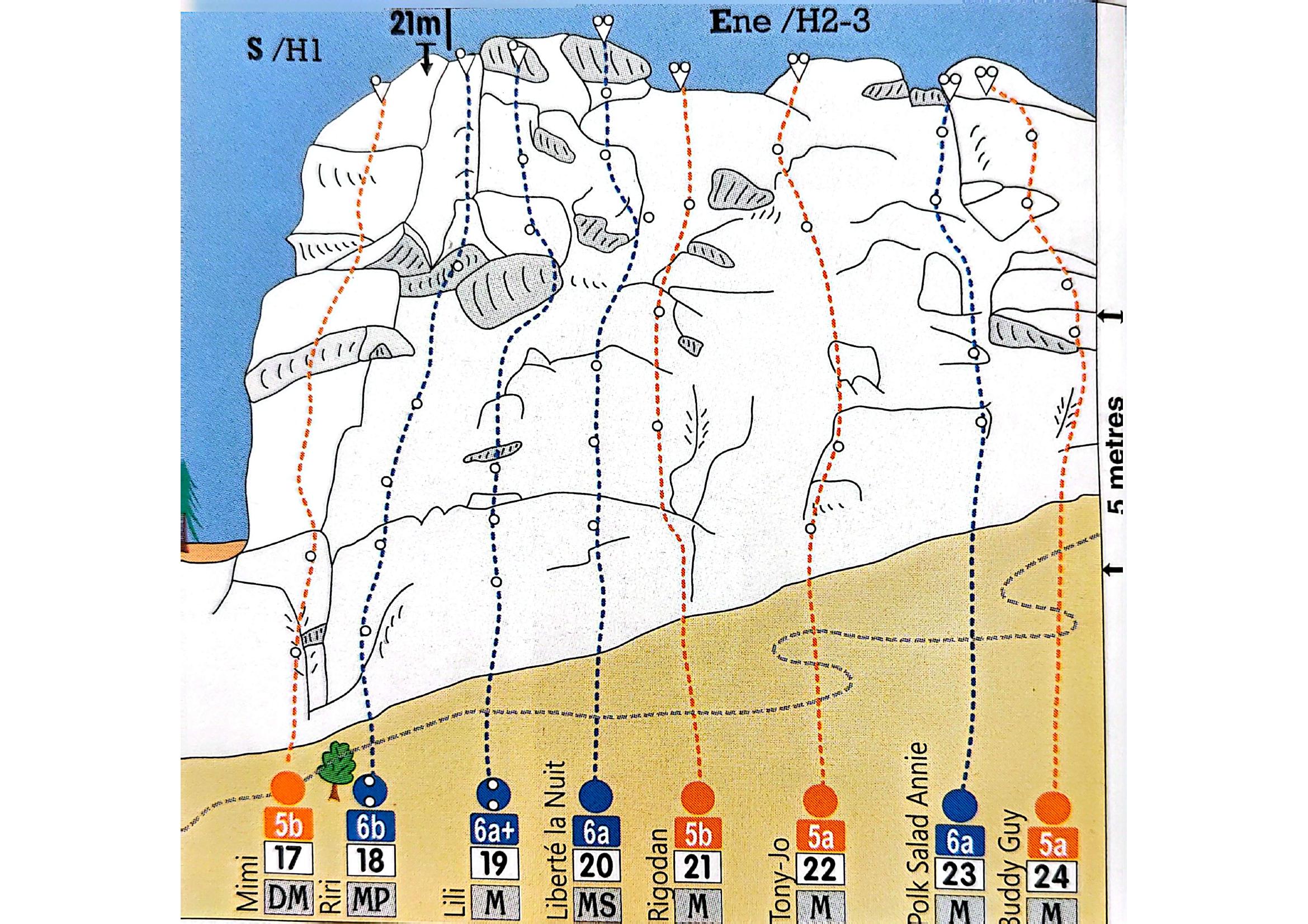 Topo schema face S