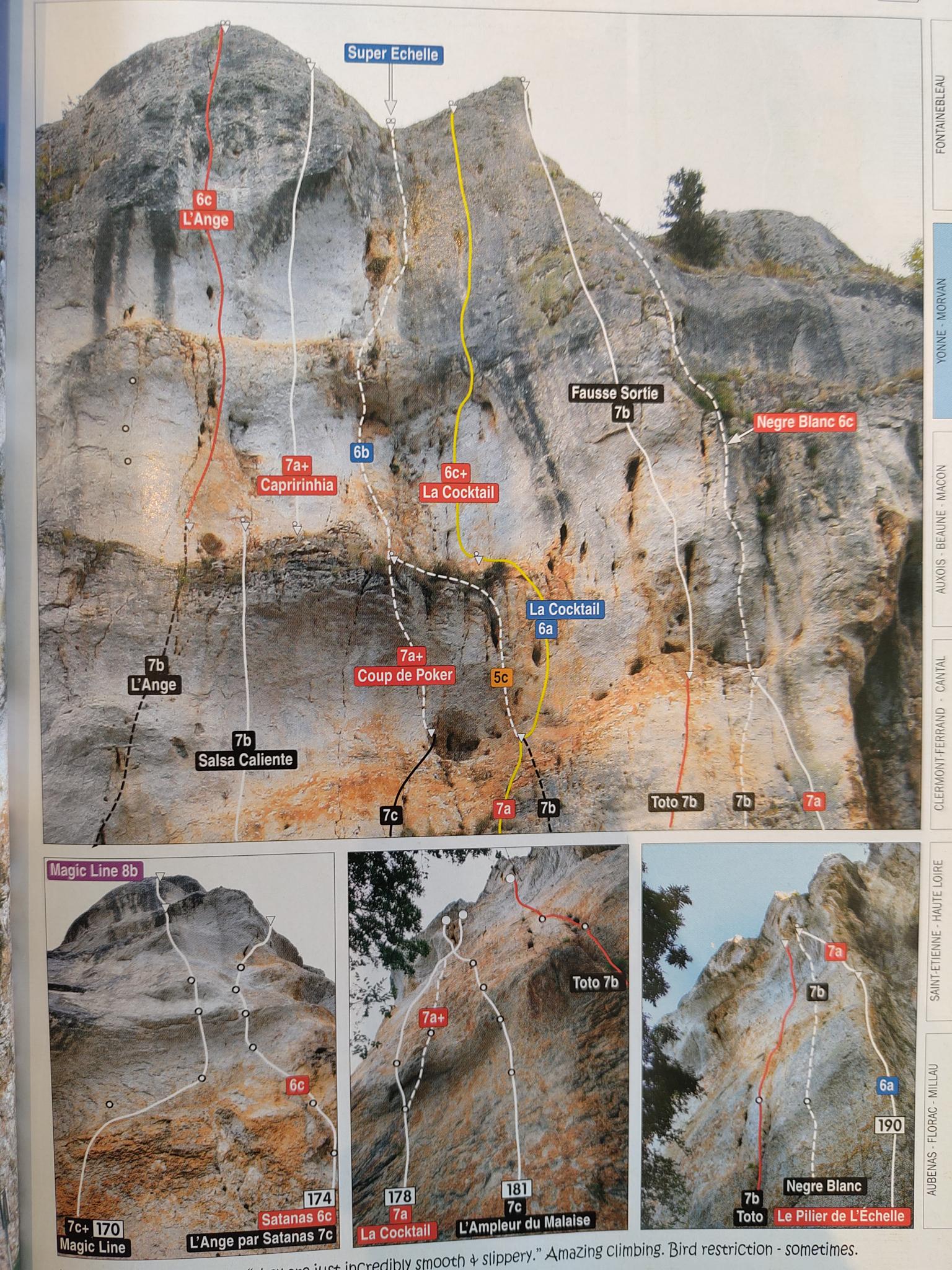 Topo Super Échelle / Anisog-Cocktail